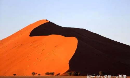为什么脸上会有黑色的小点-为什么我的脸上会长出小小的黑毛网- 为什么脸上会长一颗颗黑色的东西知识,分享为什么我的脸上会长出小小的黑毛毛
